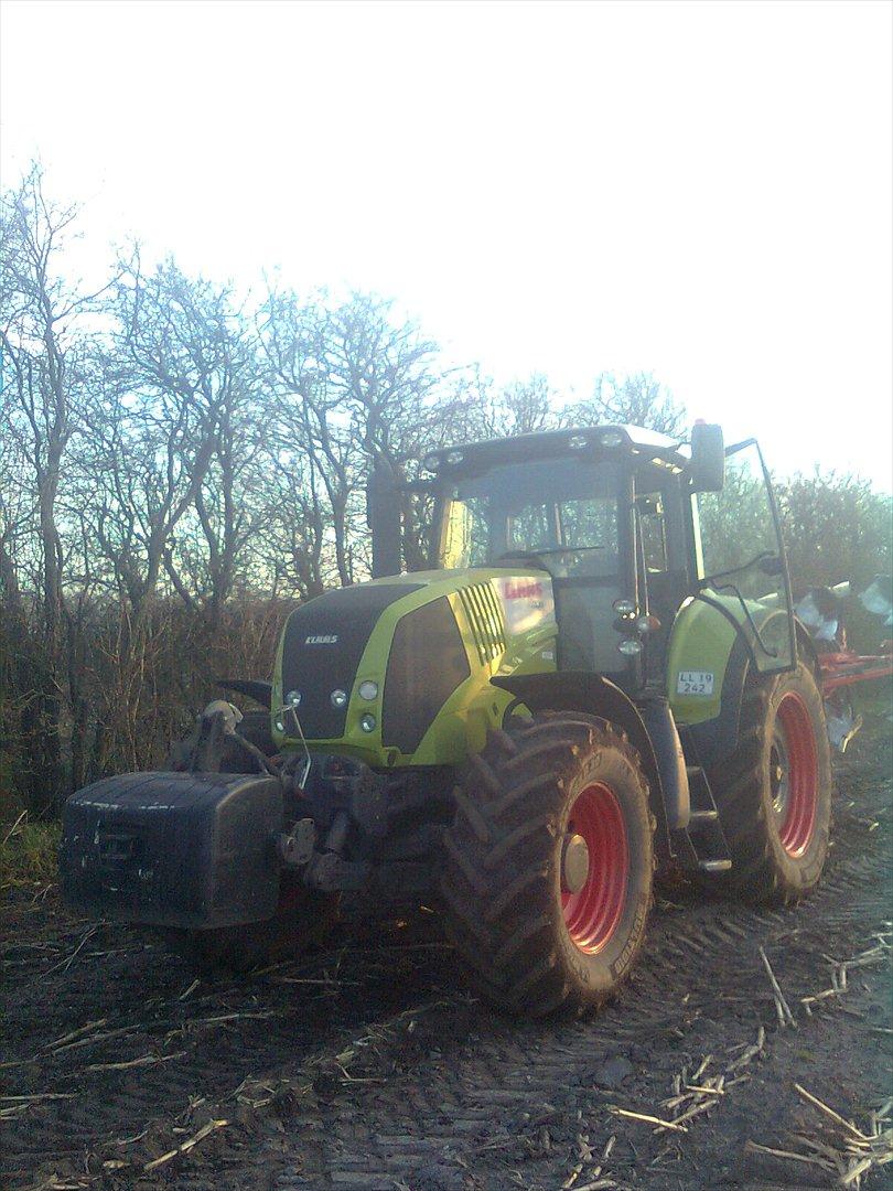 Arbejdet på Østerbygård. - Claas Axion 810 med 5 furet plov billede 4