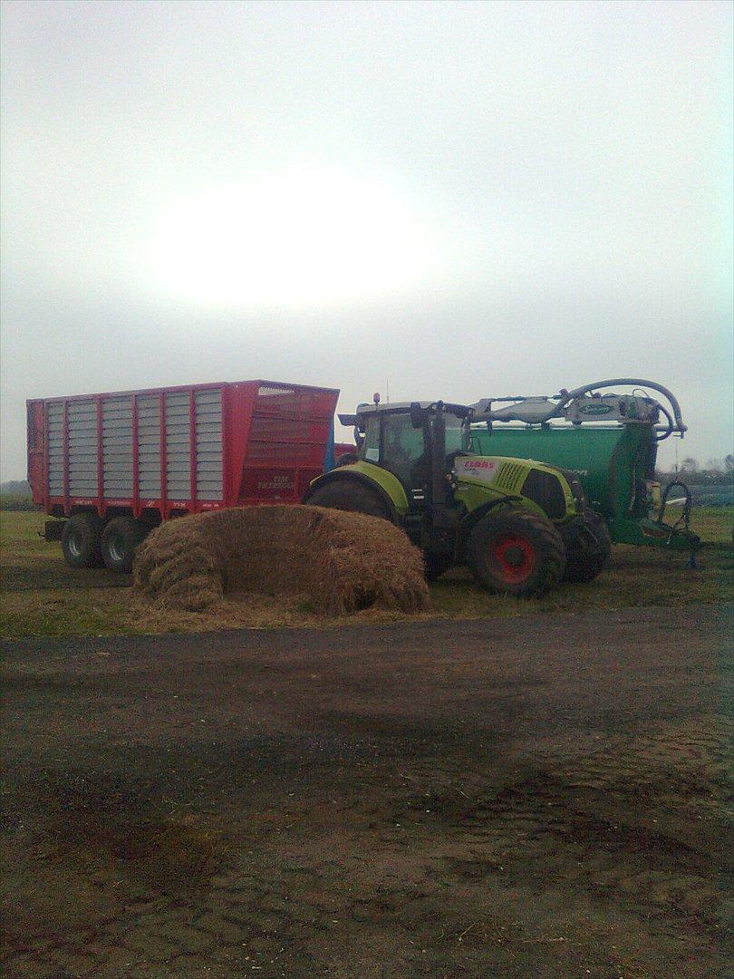 Arbejdet på Østerbygård. - Claas Axion 810 med 40 m3 bundkædevogn og pg20'er i baggrunden  billede 16