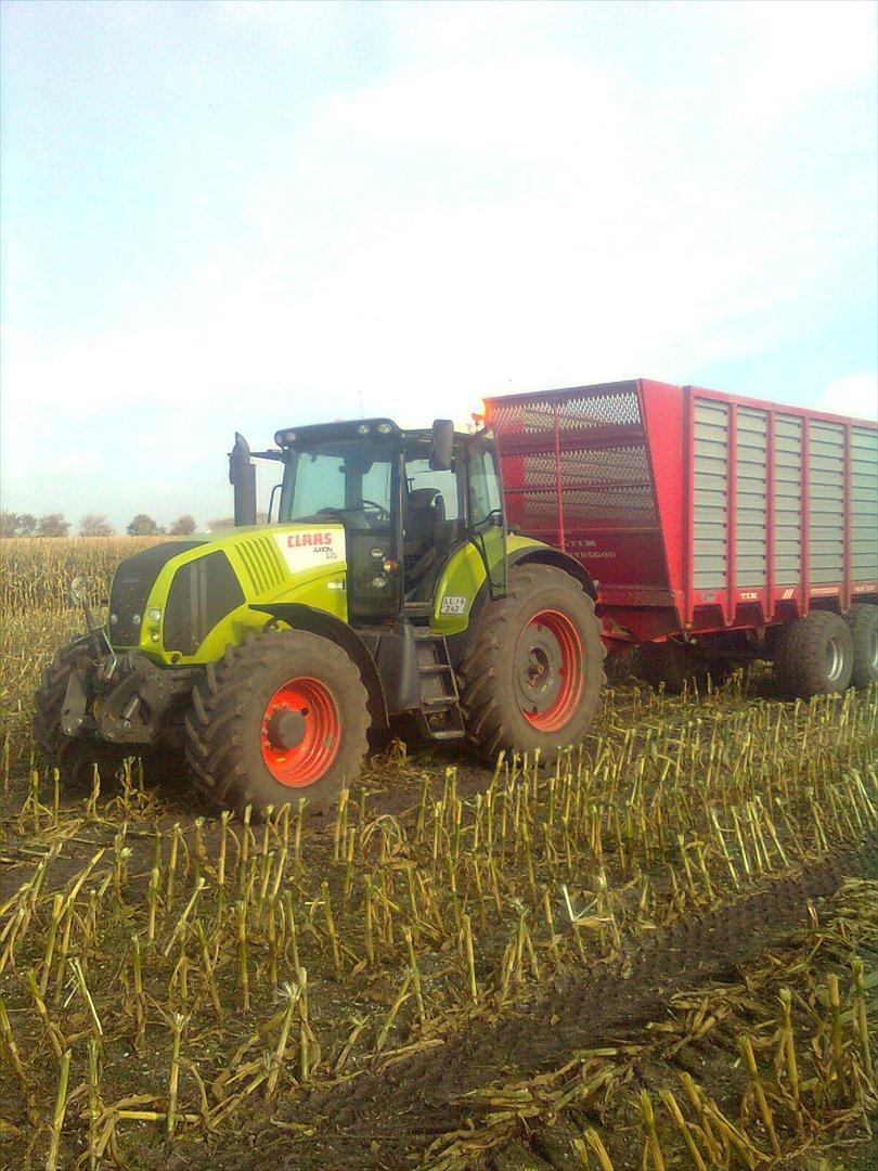 Arbejdet på Østerbygård. - Claas axion 810 med 40 m3 bundkædevogn billede 1