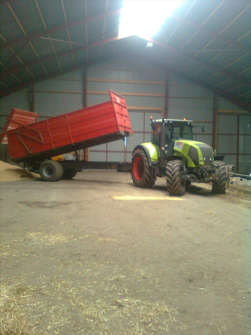 Arbejdet på Østerbygård. - Claas Axion 810 med 16 tons tipvogn billede 19