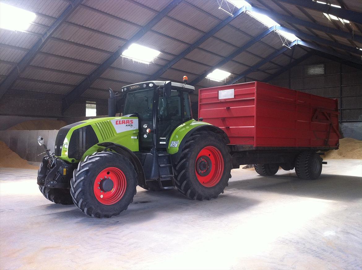 Arbejdet på Østerbygård. - Claas Axion 810 med 16 tons tipvogn billede 24