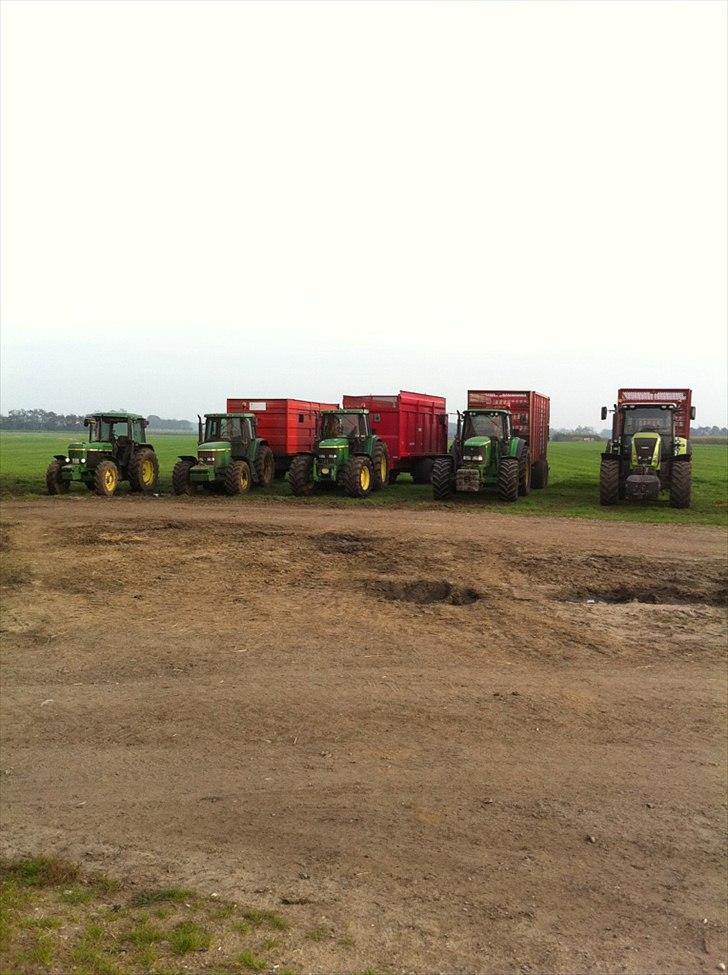 Arbejdet på Østerbygård. - Så er vi klar til at snitte majs :D
Fra venstre : John Deere 3050, John Deere 6610 med 16 tons tipvogn, John Deere 6910 med 18 tons baastup vogn, John Deere 6820 med 40 m3 budkædevogn og Claas Axion 810 med 40 m3 budkædevogn billede 31