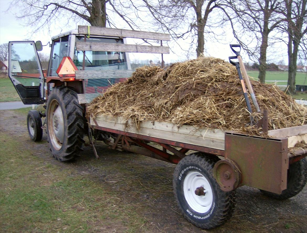 Renovering af ladvogn - Spændt efter en Massey Fergusson 675..  billede 3
