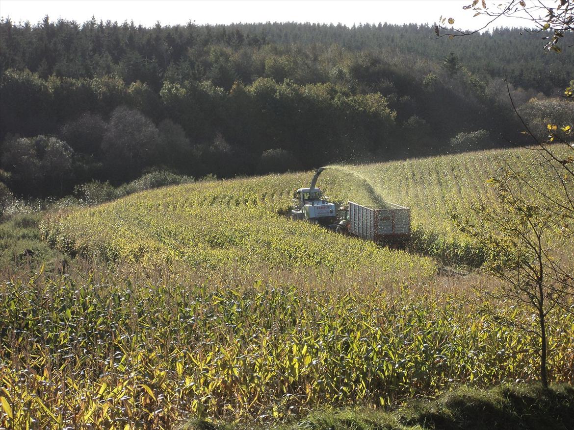 Sønderup-Suldrup Maskinstation billede 8