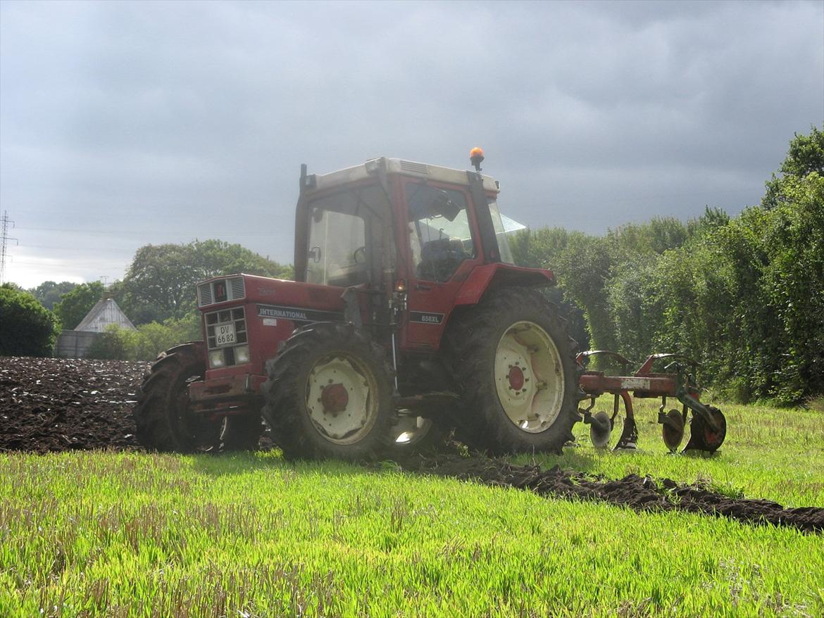 Æ Ford gods 2 - nabos IH 856 XL med trefuret Kverneland standardplov billede 80