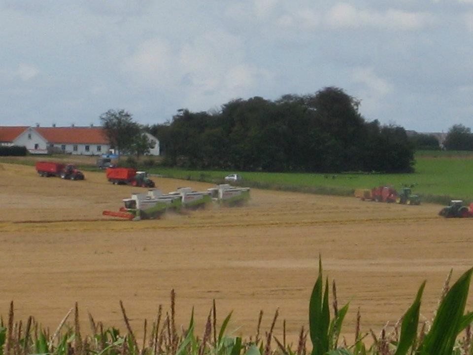 Sønderup-Suldrup Maskinstation billede 32