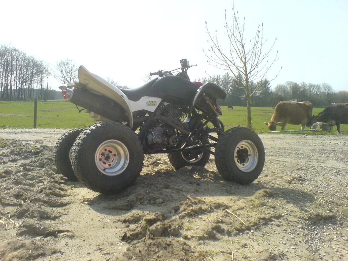 Yamaha Raptor 660 billede 3