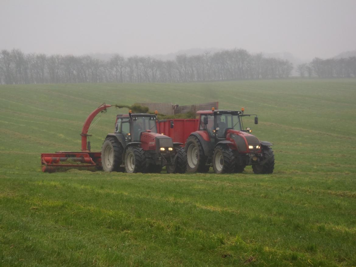 Taarup 605 B billede 9
