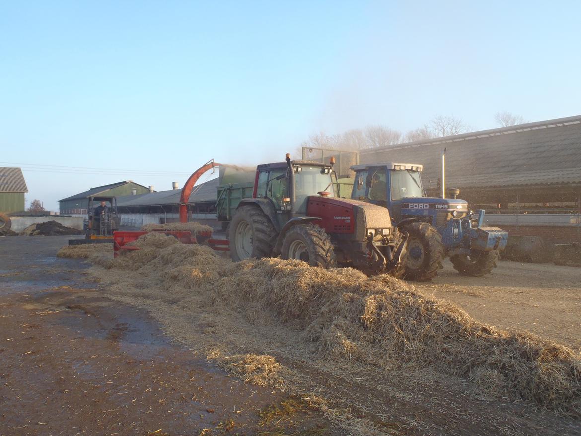 Taarup 605 B billede 15