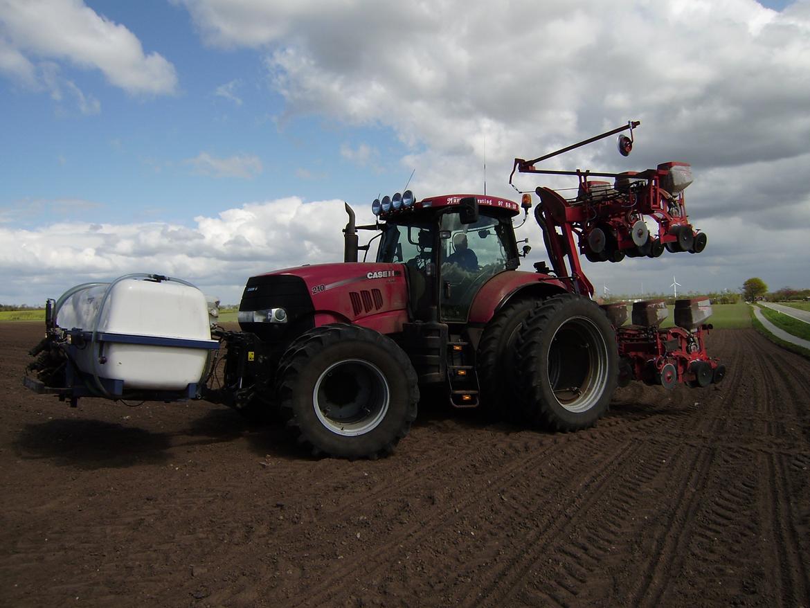 Martin Børsting Maskinstation  - Case IH Puma 210 med gaspardo 12 rækket majssåmaskine, med flydende gødning. Majsen sås med Case IH RTK GPS. Puma´en er nu byttet med en ny Puma 225 CVX billede 19