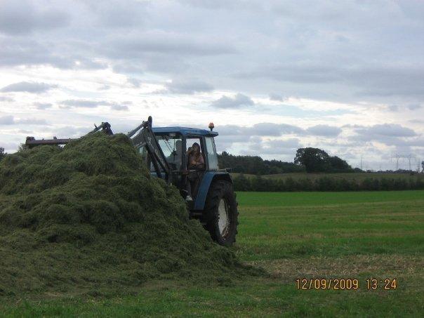 Roum snitter service  billede 2