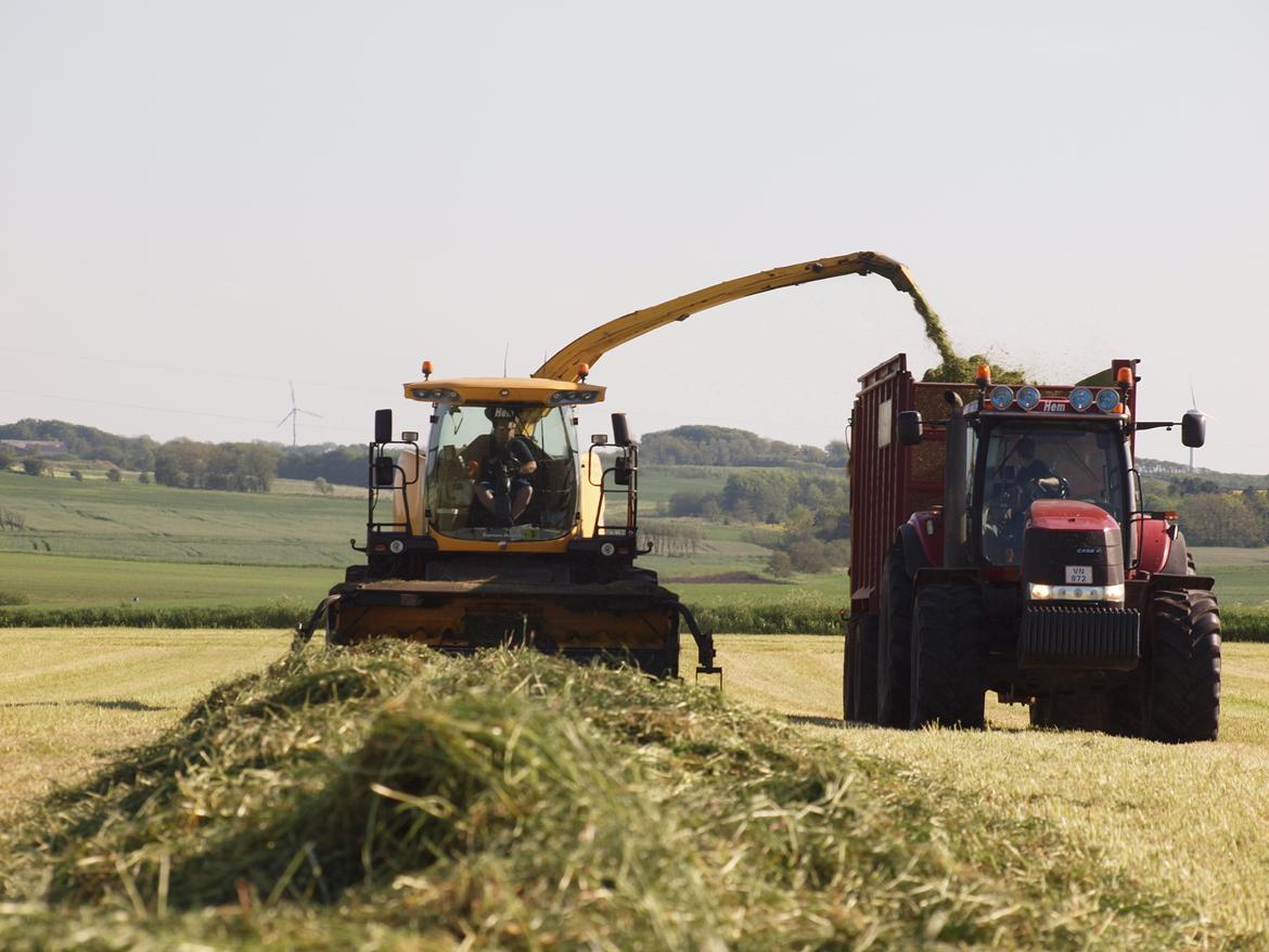 Martin Børsting Maskinstation  - New Holland FR 9050 og Case IH Magnum 335 med strautmann giga trailer 2246 billede 42