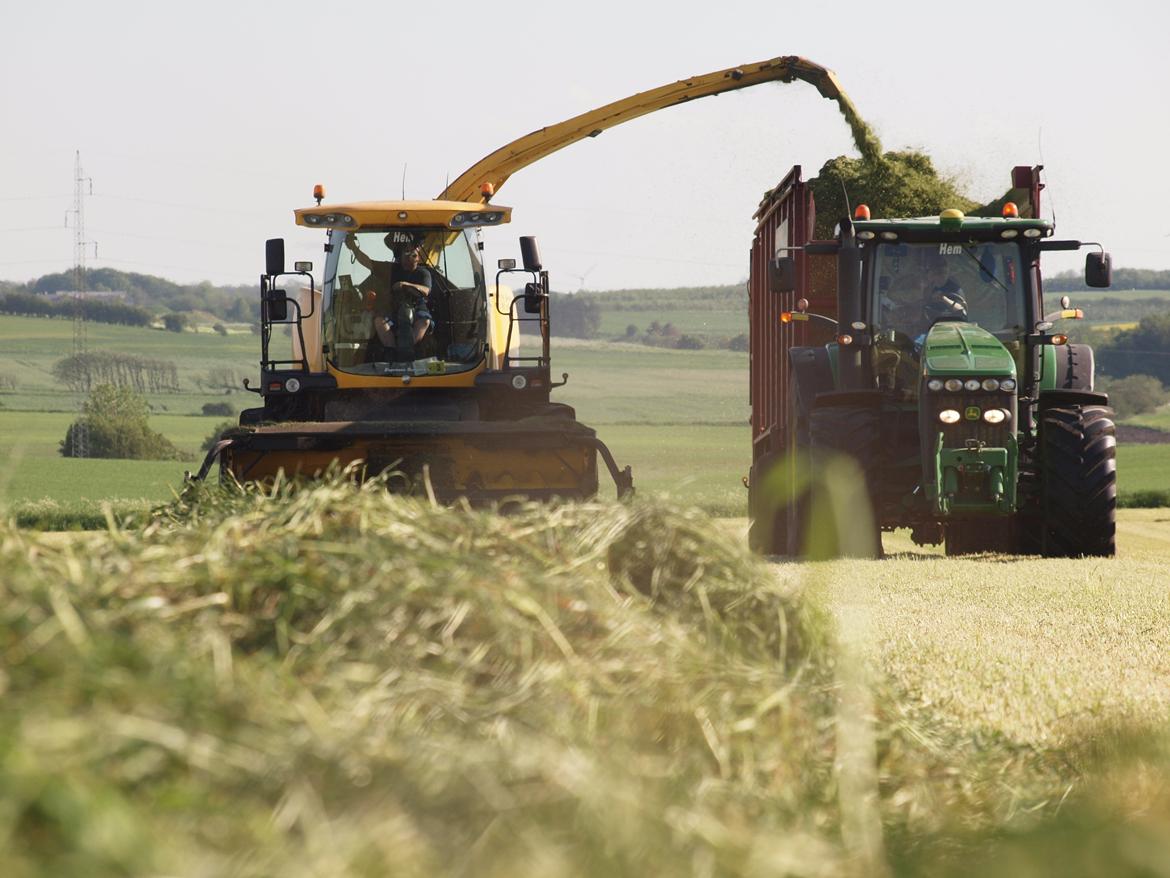 Martin Børsting Maskinstation  - New Holland FR 9050 og John Deere 8320R med rautmann giga trailer 2246  billede 44