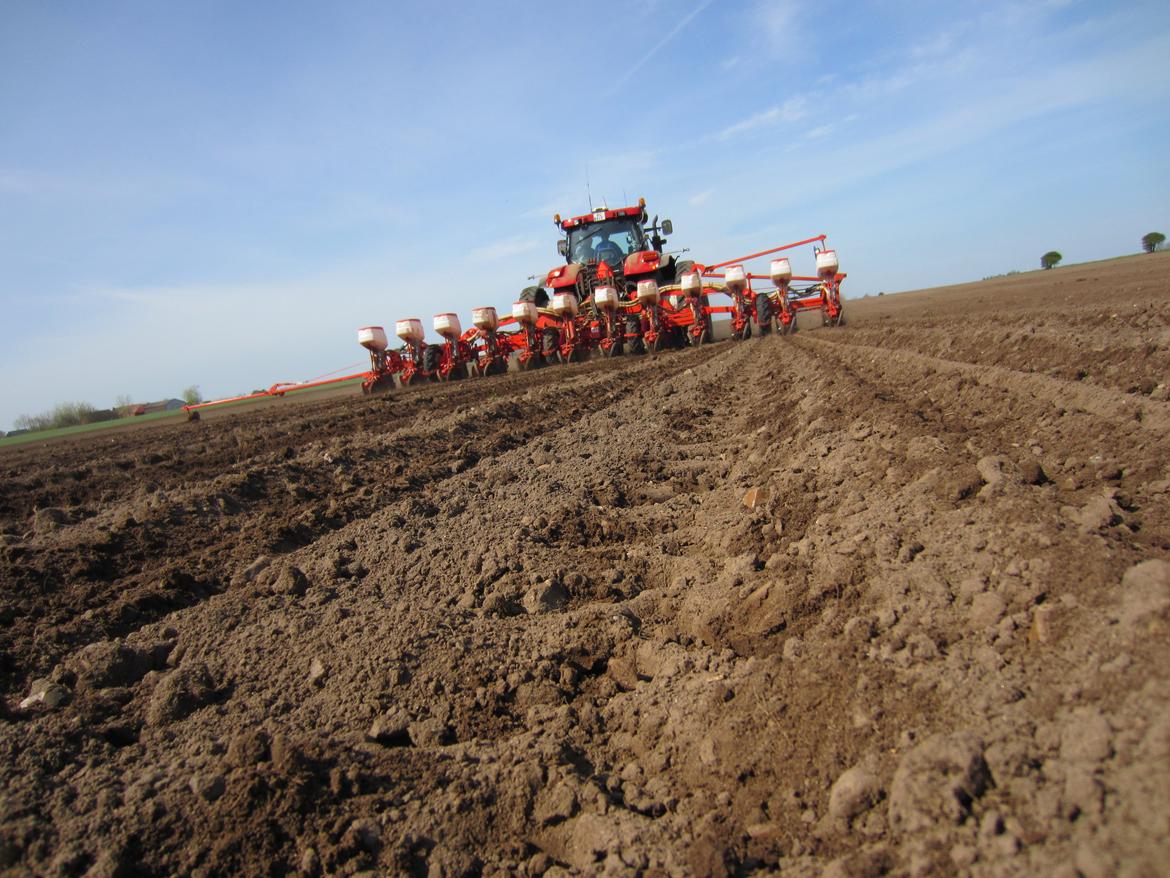 Martin Børsting Maskinstation  - Case IH Puma 225 CVX med RTK autostyring, og 12 rækket gaspardo majssåmaskine. billede 37