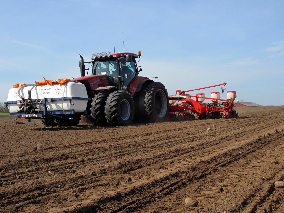 Martin Børsting Maskinstation  - Case IH Puma 225 CVX med RTK autostyring, og 12 rækket gaspardo majssåmaskine. billede 38