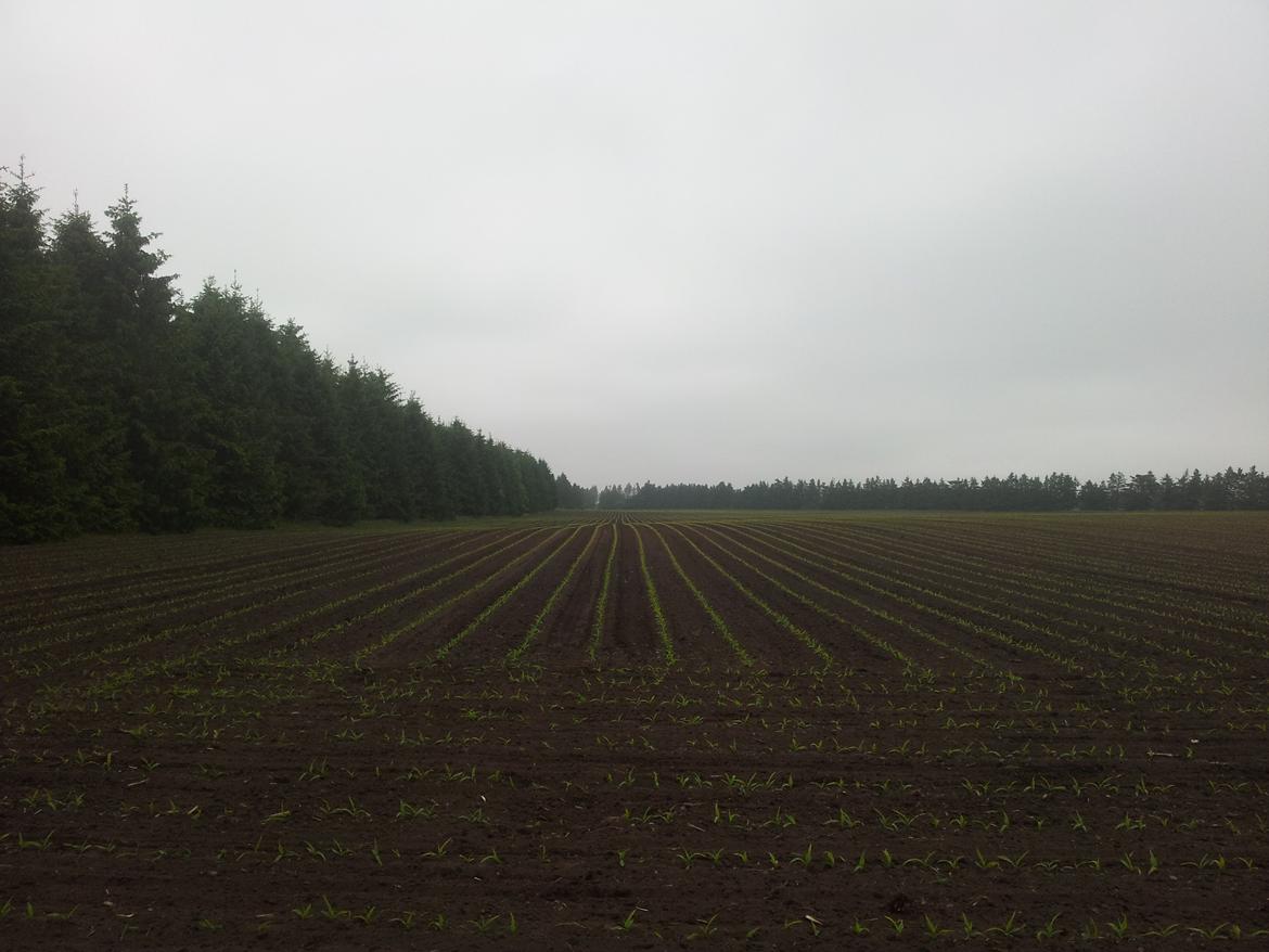 Midtjysk Maskinstation billede 164