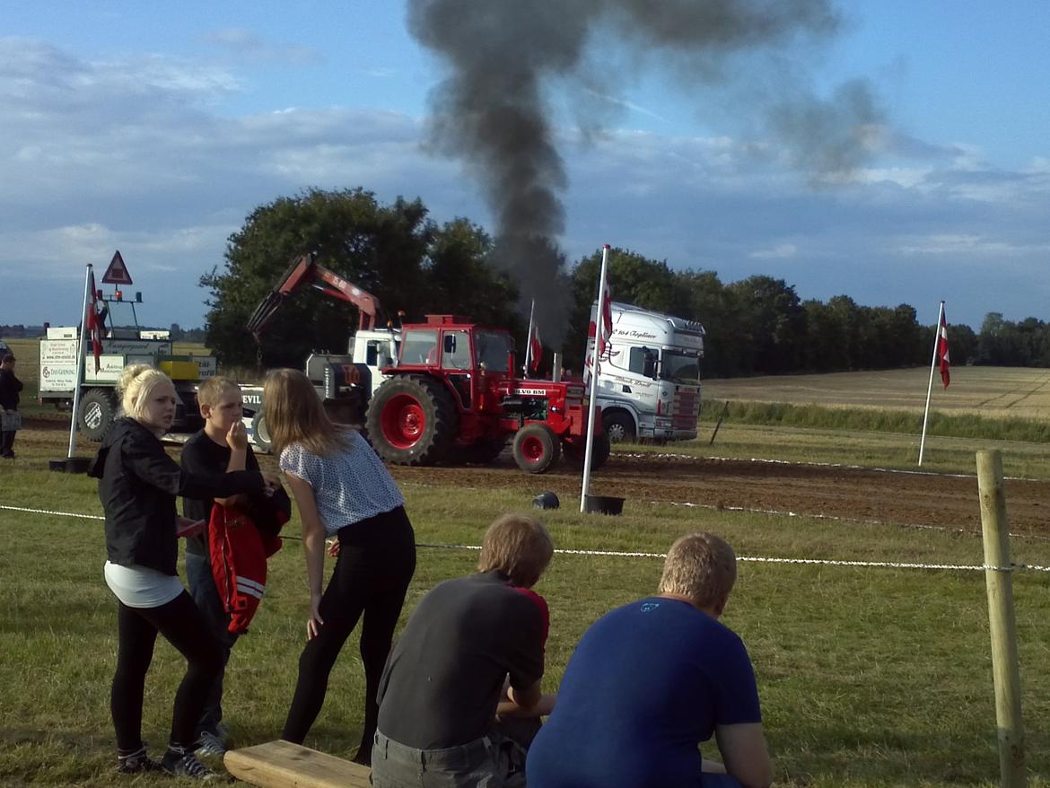 Lidt billeder fra Gl. Estrup 03/08-12 billede 13