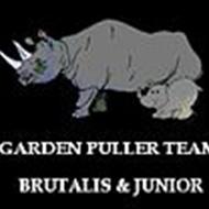 Henrik *Team Brutalis *