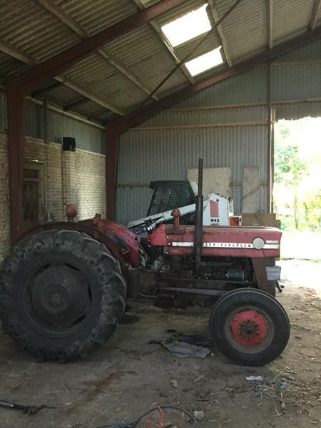 Massey Ferguson 135 bensin