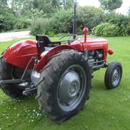 Massey Ferguson 35 X