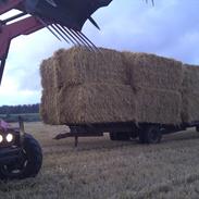 Massey Ferguson 5455