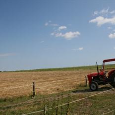 Massey Ferguson 35X