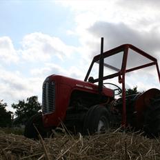 Massey Ferguson 35X