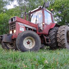 International Harvester 844xl