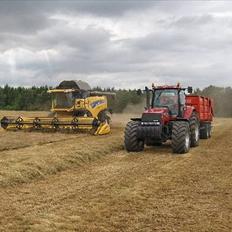 Case IH MX 285