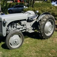 Ferguson TE 20 (31)