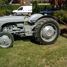 Ferguson TE 20 (31)