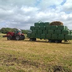 Massey Ferguson 5480