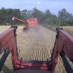 Massey Ferguson 5455