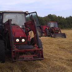 Massey Ferguson 5455