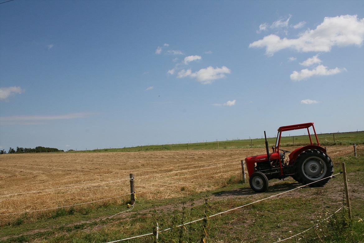 Massey Ferguson 35X - Det er hvad jeg kalder afslapning - Når det er best  billede 1