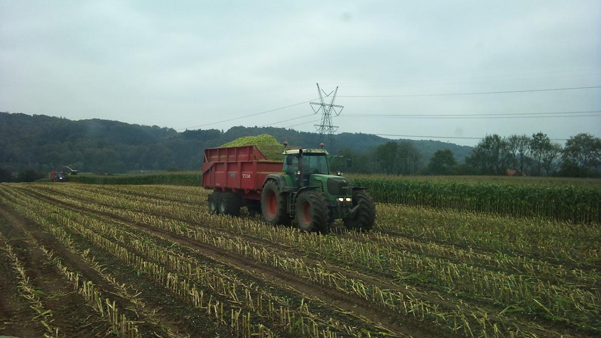 Fendt 930 vario TMS - majs snitning 2010 billede 8