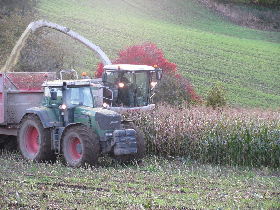 Fendt 930 vario TMS - majs snitnig 2009 billede 11