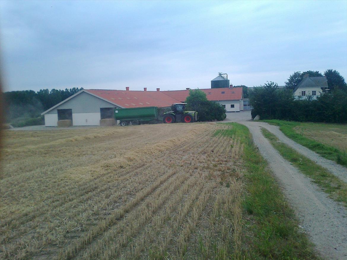 Claas Xerion 3800 billede 4