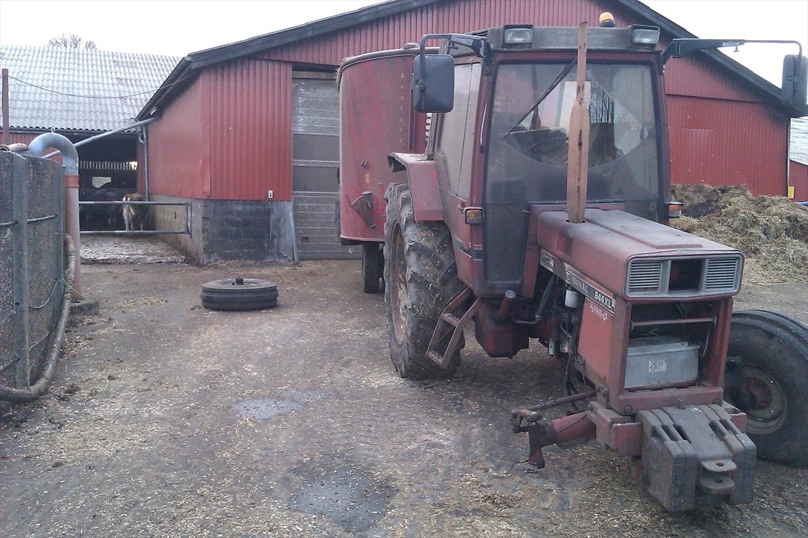 International Harvester 844xl - Selv med et brækket ben kan en IH fodre køerne: http://www.youtube.com/watch?v=y9kuEvlKjdU billede 2