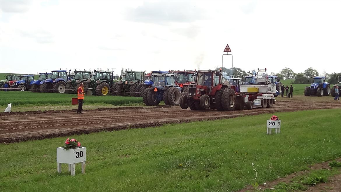International Harvester 844xl - UHA den er vild! :D billede 7