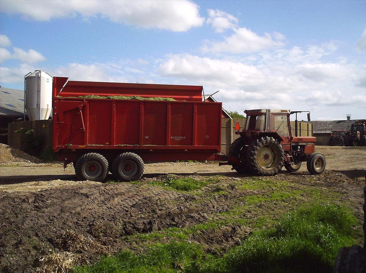 International Harvester 844xl - IH 844xl og 16T Baastrup-vogn i græs-ensileringen. Fantastisk træk! billede 10