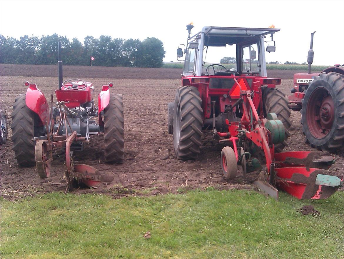 Massey Ferguson 550 billede 6