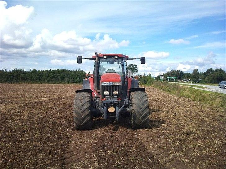 New Holland G240 - Ude med den 4 meter Lemken Stupharve.  billede 3