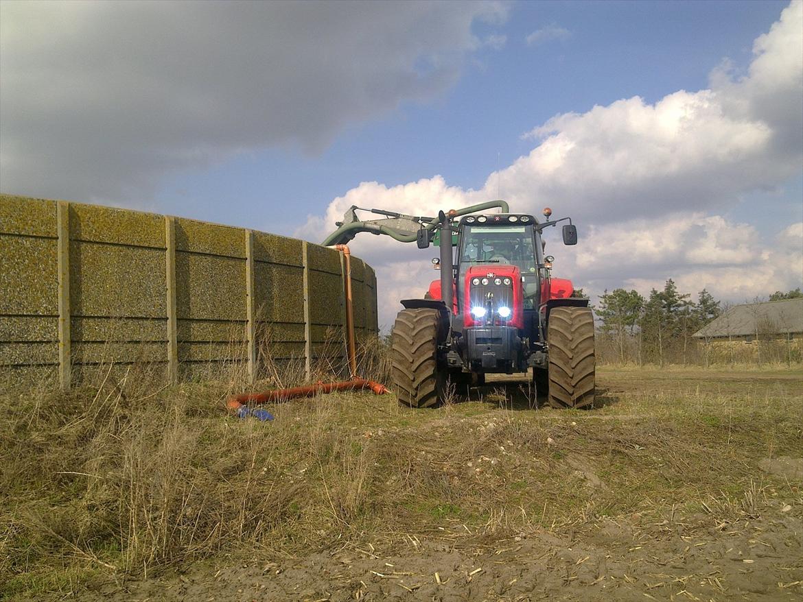 Massey Ferguson 8480 billede 11