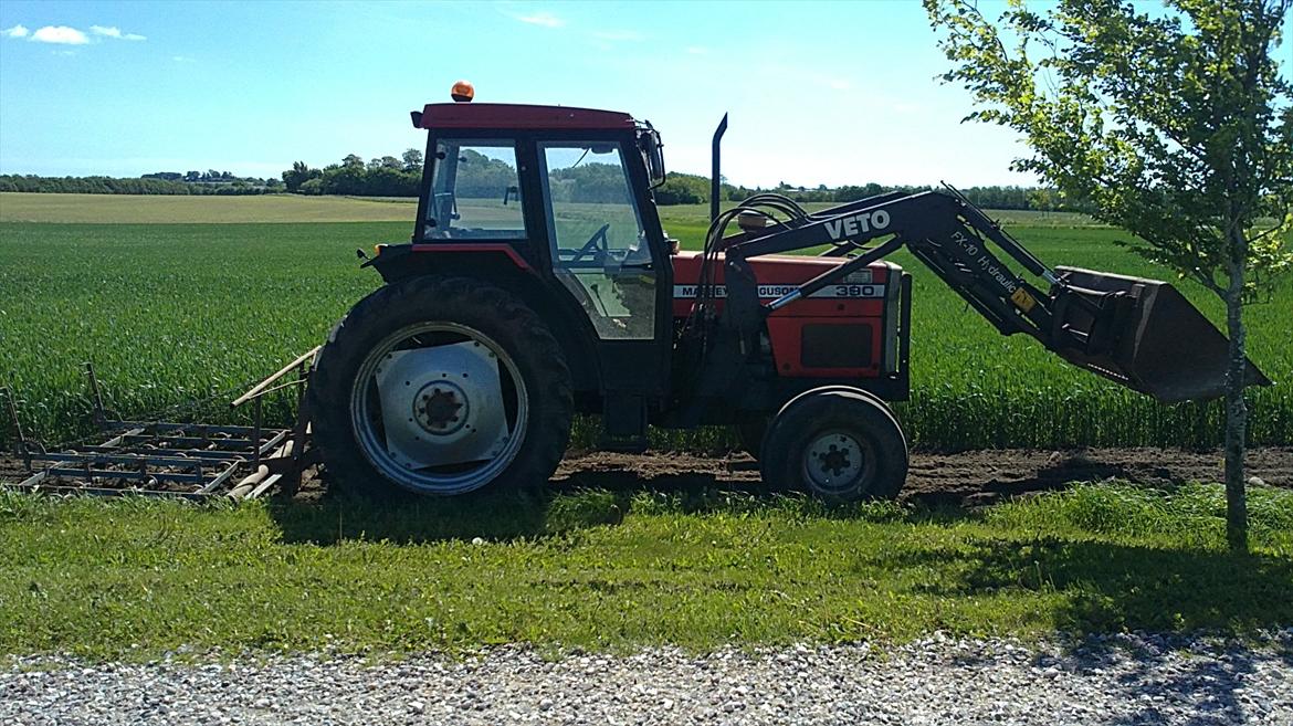 Massey Ferguson 390 - harver lige det bette styk :) billede 7