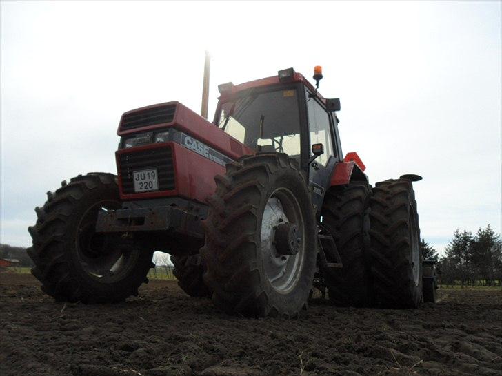 Case IH 956 XL - Var ude og så lidt græs udlæg billede 7