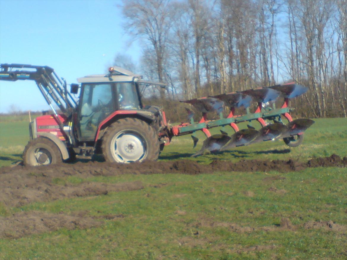 Massey Ferguson 6140 - Den pløjer ca 60 ha hvert år med 4 furet kvernland EG 85 billede 3