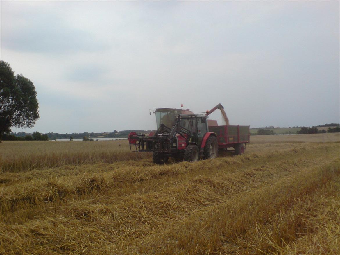 Massey Ferguson 6140 billede 9