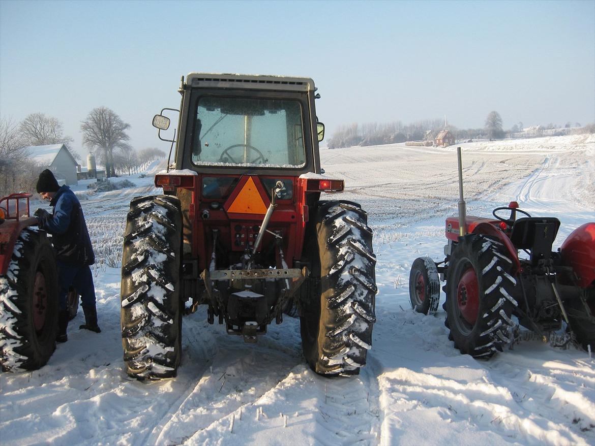 Massey Ferguson 590 billede 3