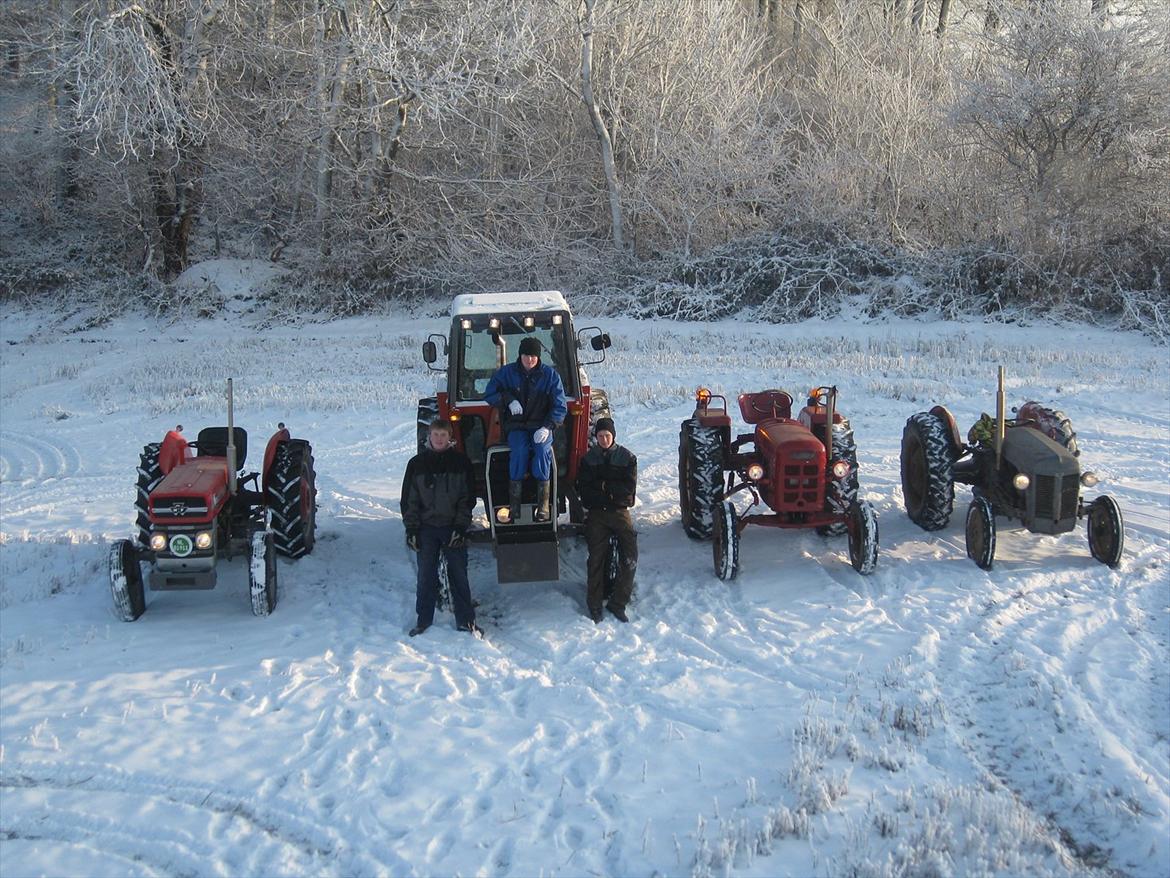 Massey Ferguson 590 billede 4